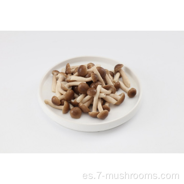 Frezen Fresh Cut Beech Mushroom-250g